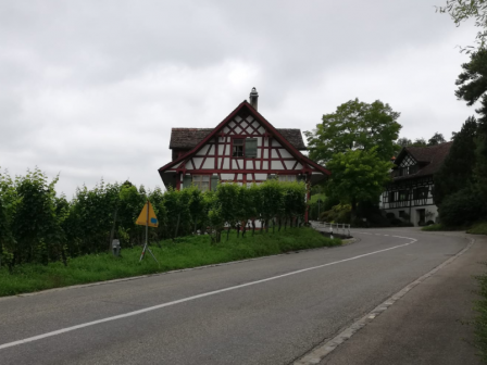 Schwinger Party Schwinger Party